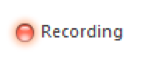 ZoomParticipantRecordingIndicator