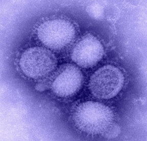 Biological Safety